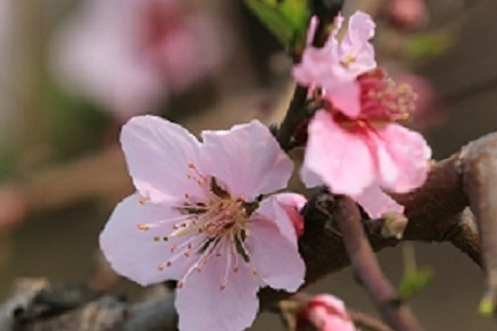 �P(gu��n)�����e�ʘ���˾����