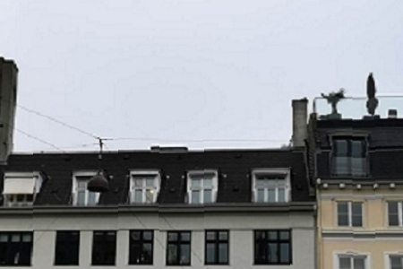 ʳƷ��Ϲ�˾���ִ�ȫ