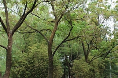 ��νo��I��˾����