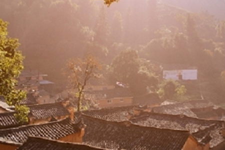 �h���Cе�O�乫˾����