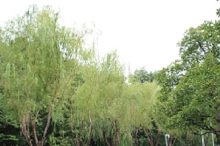 ��܇�B�o��˾���ִ�ȫ