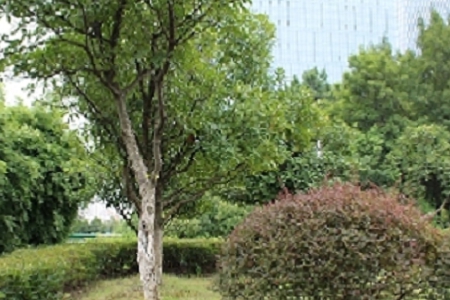 ��(r��n)���͹�˾������ȫ