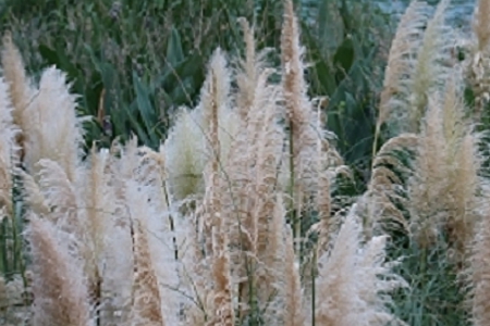 有內涵的工藝品公司名字