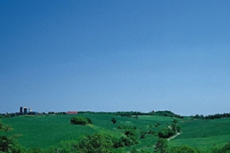 �� �����I��˾����