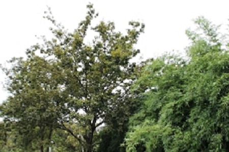 ��ߏS����ôȡ�����^����