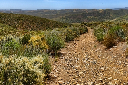 �Gɫ�h���������ִ�ȫ