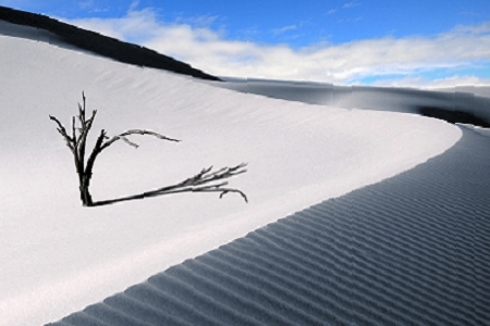 企業(yè)起名網(wǎng)取名大全