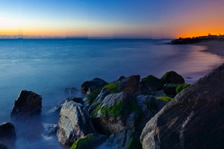 2020�����й�˾�������