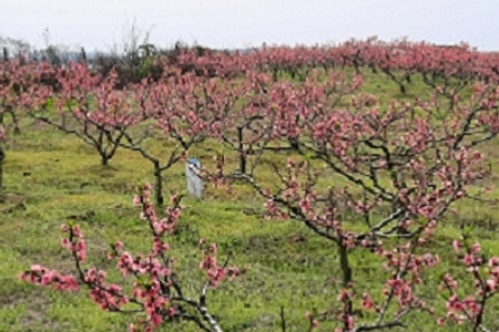 ������ԃ��������ȫ