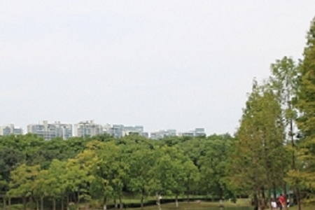 ��νo�Ļ���ý��˾����