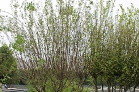 �� ����܇�N�۹�˾����