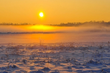 如何起個(gè)好聽且國(guó)際范的公司名