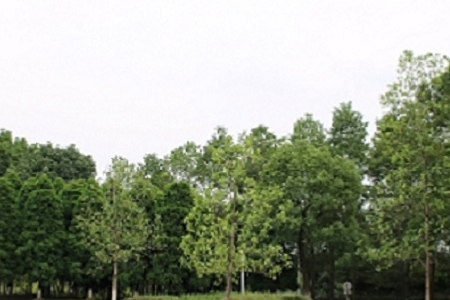 ���Ե�Ь�����ִ�ȫ