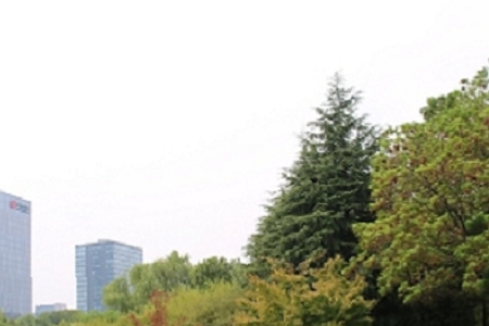 �Ԍ�������������ȫ