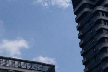 紅酒莊名字取名大全集