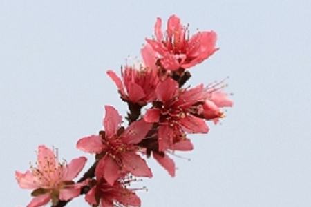 �� �Ĵ����������ִ�ȫ