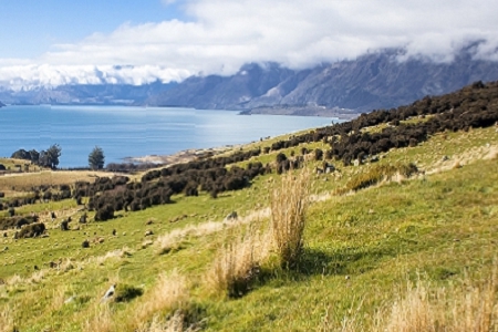 工程建筑公司取名參考