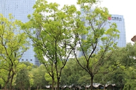 ����ֺ�ӛ�Ĺ�˾����