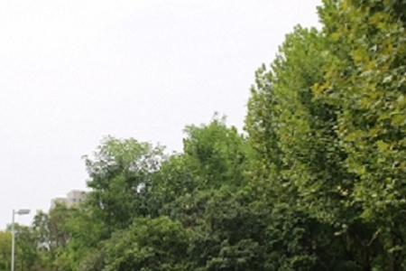 ��؛�����־�Ʒ���]