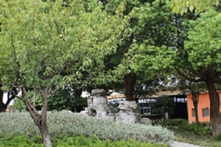 ��˾���Q������