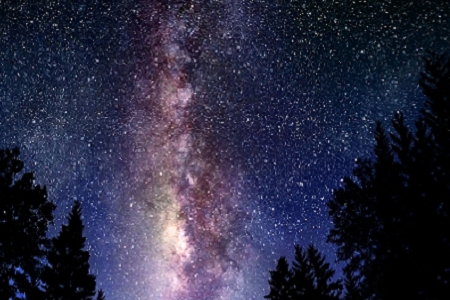 ��˾����������֮��ĝh��