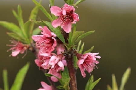 �Ђ��Եğ��������Q