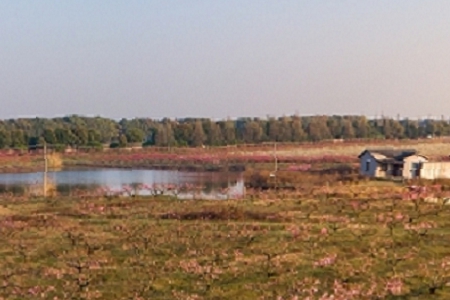 �����ֹ�˾���Q���δ��