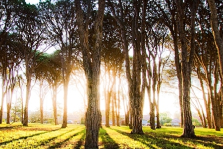 �Ƽ���ʮ��Ĺ�˾���Q