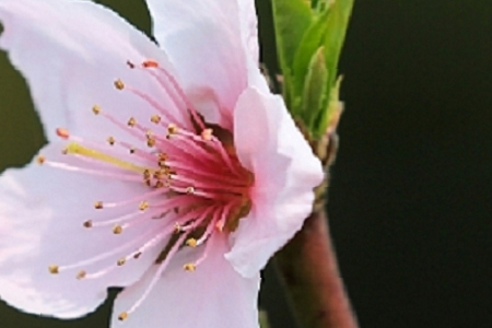 ���^�r(sh��)�еĹ�˾����