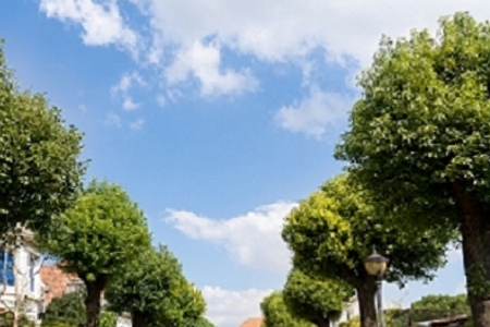 ���~�����ִ�ȫ������Ԣ��