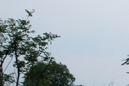 ���ζ�Ĵ�����^����