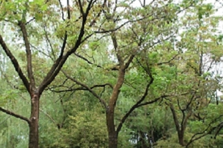 2021��߶˴����������