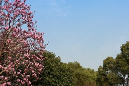 ע�Թ�˾�������]�Ă���