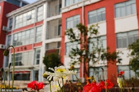 ����ȡ�����غ� ����