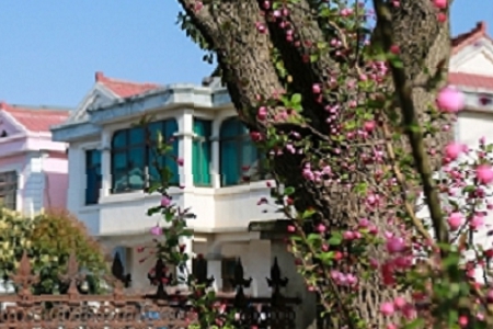 2021��󼪴����Ĺ�˾���Q