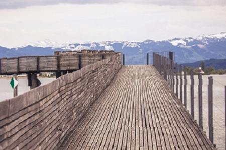 2021�Ĺ�˾���ִ�ȫ����