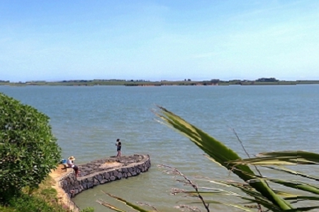 2021��˾ע��ȡ���ִ�ȫ