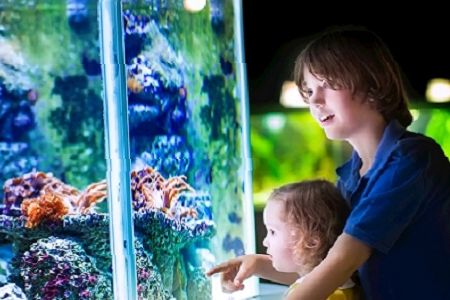 �� �����Ь������ȫ