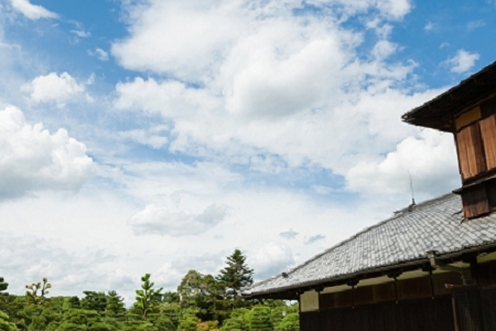 2021���_���b�S�����ִ�ȫ