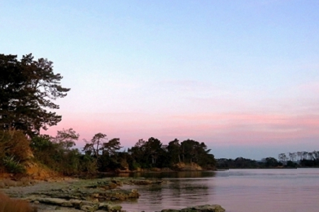 有創意的集團公司名稱