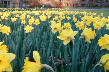 ��⪚�ص��b�˾����