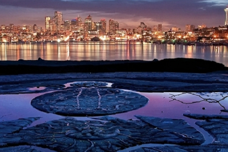 2021��W(w��ng)�j(lu��)�Ƽ���˾����