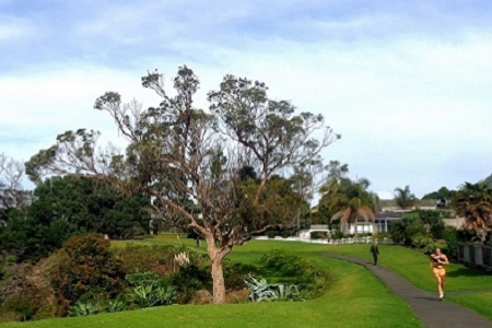 ���yƷ��˾�� �����Q