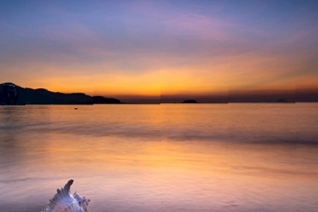 ʳƷ��˾���ִ�ȫ��ӛ