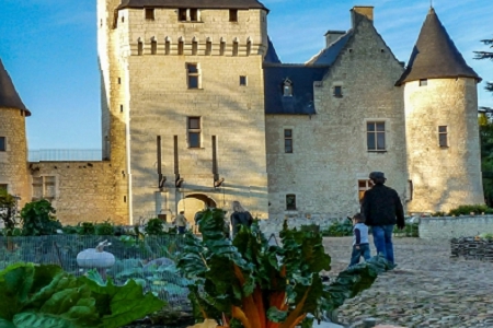 �и߼��еĹ�˾����