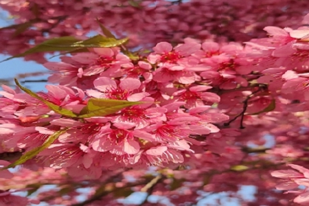 ���̹�˾���Q��ȫ��(ji��n)�δ��