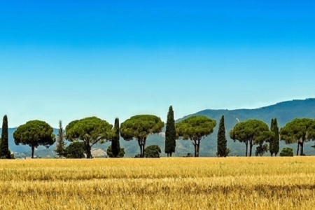 ���¹����˾������ȫ