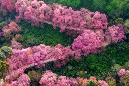 ���f��˾������ʲô�ֺ�