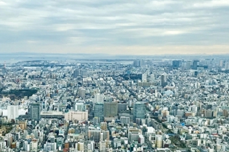 2022�깫˾���ֺ��x����