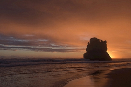 2022���¹�˾�����y��W(w��ng)